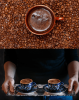 1450W automatic coffee machine capsule + coffee powder + milk foam 19Bar extraction mocha 3 in 1 half espresso 1 cup / 2 cup, electronic button powder